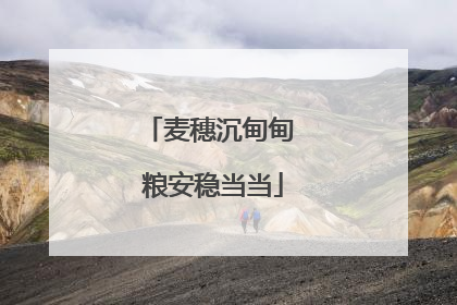 麦穗沉甸甸 粮安稳当当
