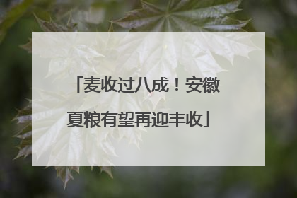 麦收过八成！安徽夏粮有望再迎丰收
