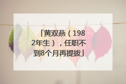 黄双燕（1982年生），任职不到8个月再提拔