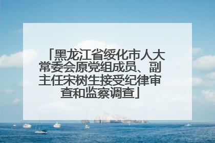 黑龙江省绥化市人大常委会原党组成员、副主任宋树生接受纪律审查和监察调查