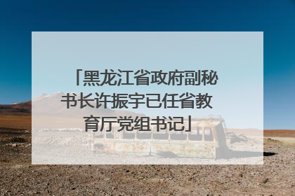 黑龙江省政府副秘书长许振宇已任省教育厅党组书记