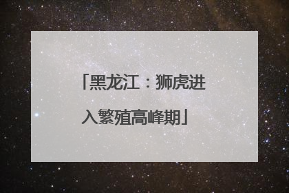 黑龙江：狮虎进入繁殖高峰期