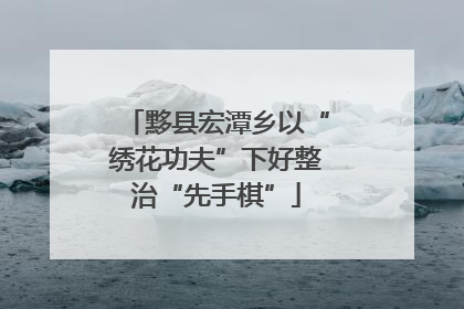 黟县宏潭乡以“绣花功夫”下好整治“先手棋”