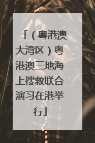 （粤港澳大湾区）粤港澳三地海上搜救联合演习在港举行