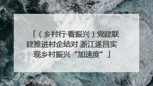 （乡村行·看振兴）党建联建推进村企结对 浙江遂昌实现乡村振兴“加速度”