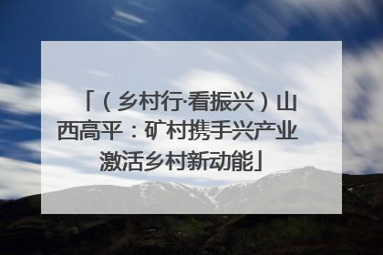 （乡村行·看振兴）山西高平：矿村携手兴产业 激活乡村新动能