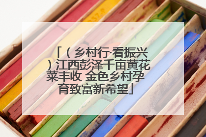 （乡村行·看振兴）江西彭泽千亩黄花菜丰收 金色乡村孕育致富新希望