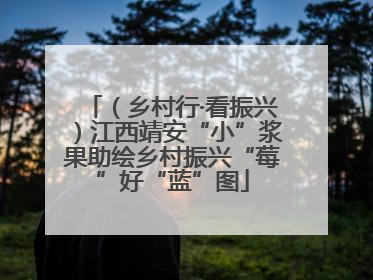 （乡村行·看振兴）江西靖安“小”浆果助绘乡村振兴“莓”好“蓝”图