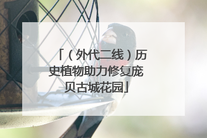 （外代二线）历史植物助力修复庞贝古城花园