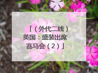 （外代二线）英国：盛装出席赛马会（2）