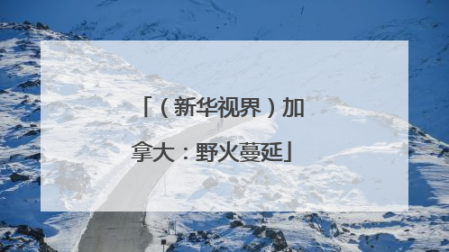 （新华视界）加拿大：野火蔓延