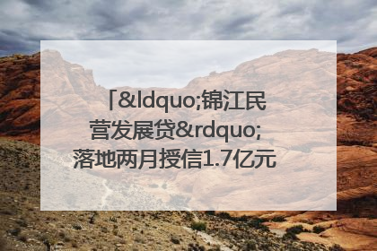 “锦江民营发展贷”落地两月授信1.7亿元，惠及118家民企