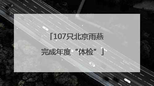 107只北京雨燕完成年度“体检”