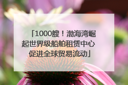 1000艘！渤海湾崛起世界级船舶租赁中心 促进全球贸易流动