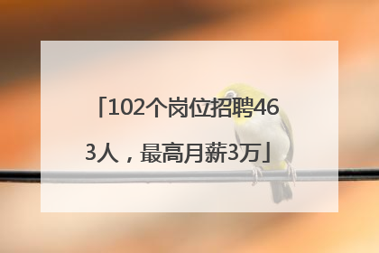 102个岗位招聘463人，最高月薪3万