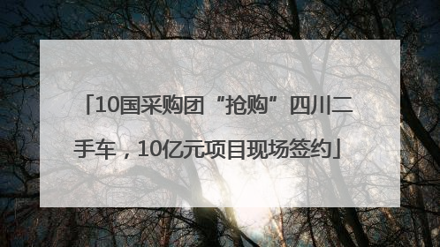 10国采购团“抢购”四川二手车，10亿元项目现场签约