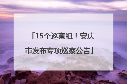 15个巡察组！安庆市发布专项巡察公告