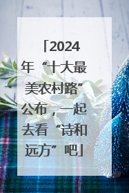 2024年“十大最美农村路”公布，一起去看“诗和远方”吧
