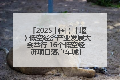 2025中国（十堰）低空经济产业发展大会举行 16个低空经济项目落户车城