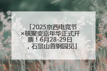 2025京西电竞节×核聚变嘉年华正式开票！6月28-29日，石景山首钢园见