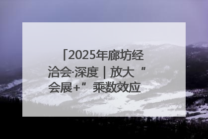 2025年廊坊经洽会·深度｜放大“会展+”乘数效应 打造消费新场景