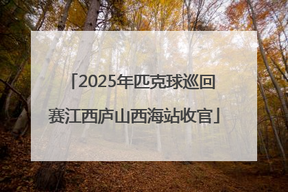 2025年匹克球巡回赛江西庐山西海站收官