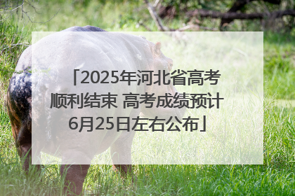 2025年河北省高考顺利结束 高考成绩预计6月25日左右公布