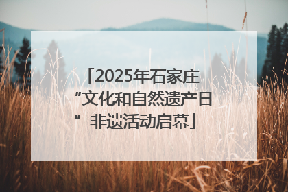 2025年石家庄“文化和自然遗产日”非遗活动启幕
