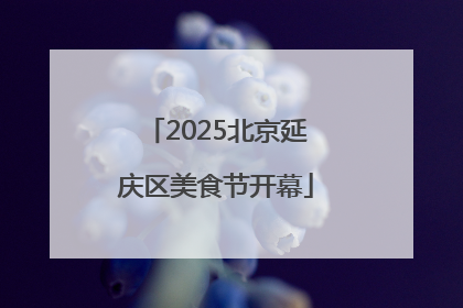 2025北京延庆区美食节开幕