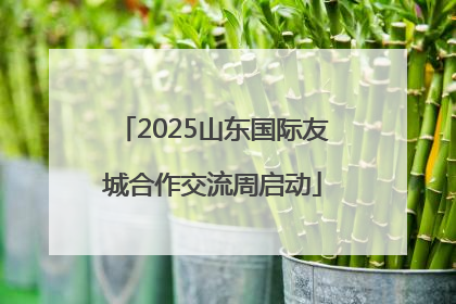 2025山东国际友城合作交流周启动
