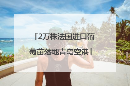2万株法国进口葡萄苗落地青岛空港