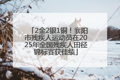 2金2银1铜！襄阳市残疾人运动员在2025年全国残疾人田径锦标赛获佳绩