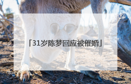 31岁陈梦回应被催婚