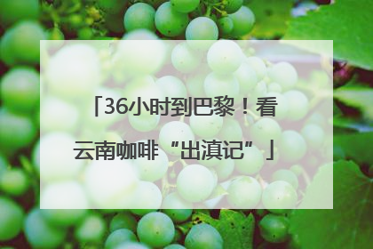 36小时到巴黎！看云南咖啡“出滇记”