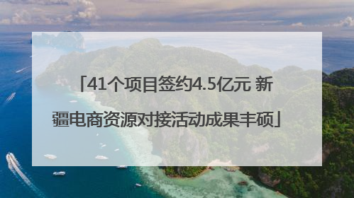 41个项目签约4.5亿元 新疆电商资源对接活动成果丰硕