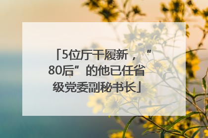 5位厅干履新，“80后”的他已任省级党委副秘书长