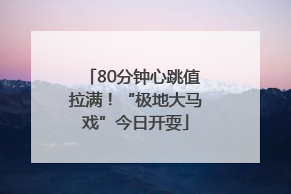 80分钟心跳值拉满！“极地大马戏”今日开耍