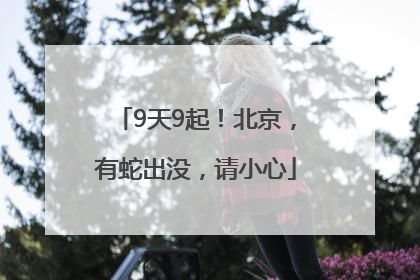 9天9起！北京，有蛇出没，请小心
