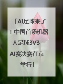 AI足球来了！中国首场机器人足球3V3 AI赛决赛在京举行