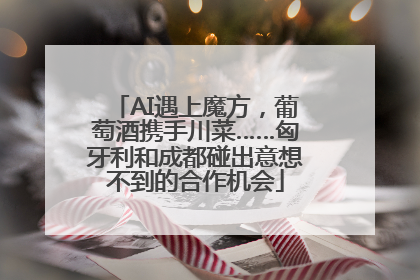 AI遇上魔方，葡萄酒携手川菜……匈牙利和成都碰出意想不到的合作机会