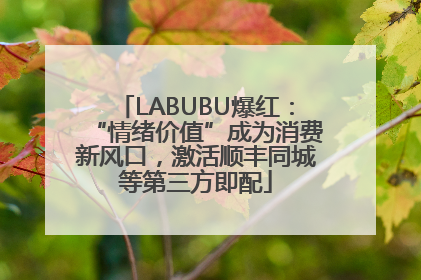 LABUBU爆红：“情绪价值”成为消费新风口，激活顺丰同城等第三方即配