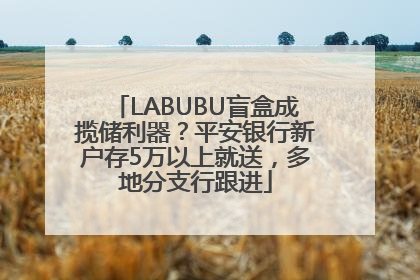 LABUBU盲盒成揽储利器？平安银行新户存5万以上就送，多地分支行跟进