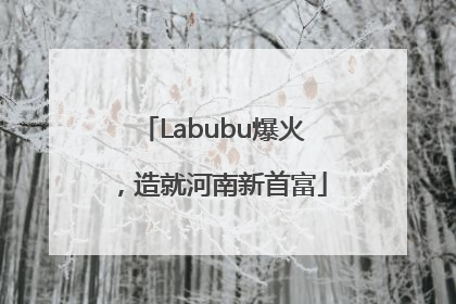 Labubu爆火，造就河南新首富