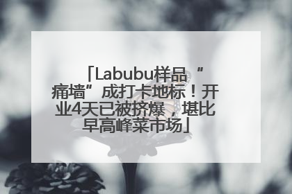 Labubu样品“痛墙”成打卡地标！开业4天已被挤爆，堪比早高峰菜市场