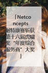 Netconcepts耐特康赛斩获第十六届虎啸奖“年度综合服务商”大奖